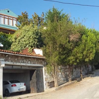 1113 - Villa Beyrut 1